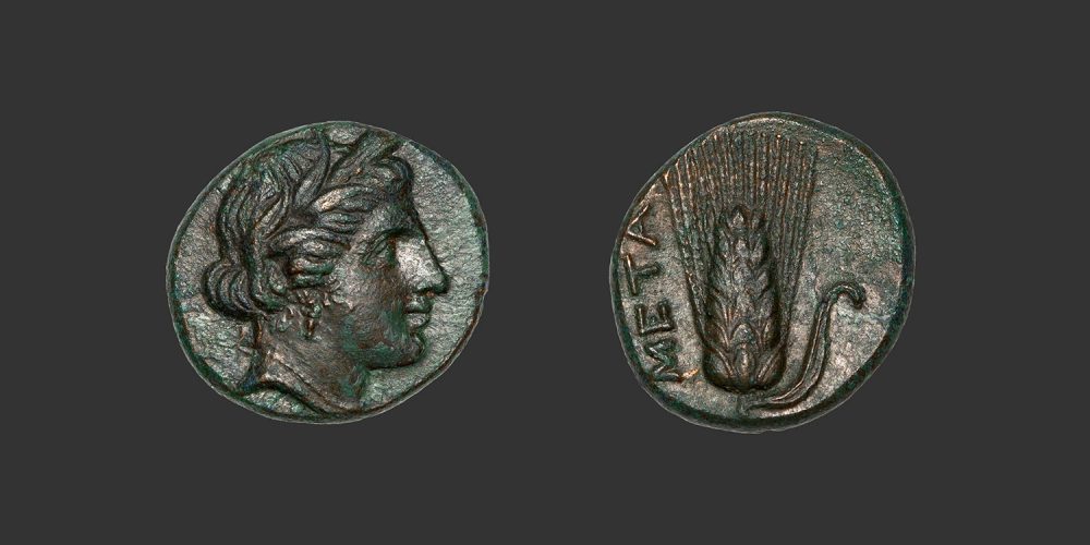 Odysseus Numismatique Monnaies Grecques Lucanie Métaponte bronze