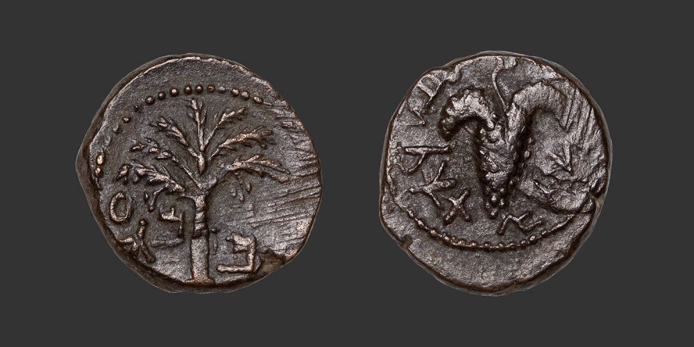 Odysseus Numismatique Monnaies Grecques Juives JUDÉE - DEUXIÈME RÉVOLTE DE BAR KOKHBA • Bronze