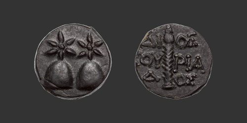 Odysseus Numismatique Monnaies Grecques COLCHIS - DIOSCURIAS • Bronze