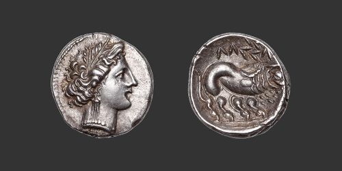 Odysseus Numismatique Monnaies Gauloises CELTO-LIGURES • Drachme