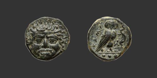 Odysseus Numismatique Monnaies Grecques SICILE - KAMARINA • Bronze