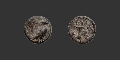 Odysseus Numismatique Monnaies Grecques ÉOLIDE - CYMÉ • Bronze