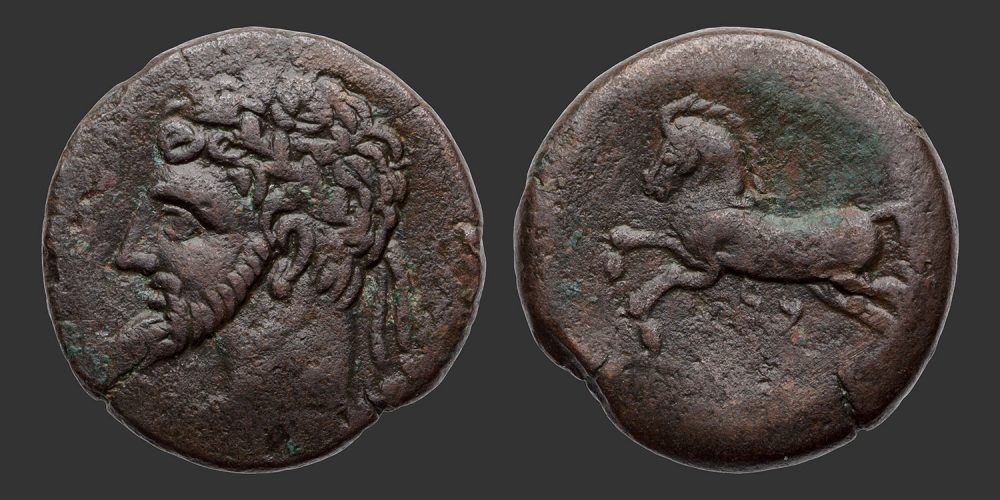 Odysseus Numismatique Monnaies Grecques NUMIDIE - MASSINISSA & SES SUCCESSEURS • Bronze