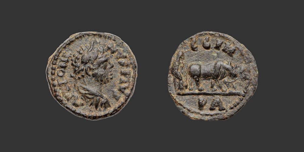 Odysseus Numismatique Monnaies Romaines Provinciales Grecques PARION - CARACALLA • Bronze