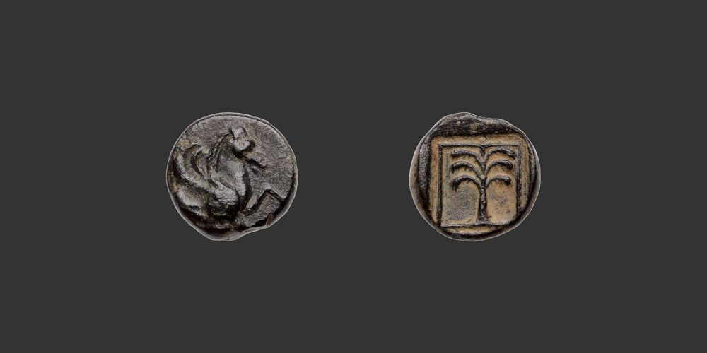 Odysseus Numismatique Monnaies Grecques TROADE - SCEPSIS • Bronze