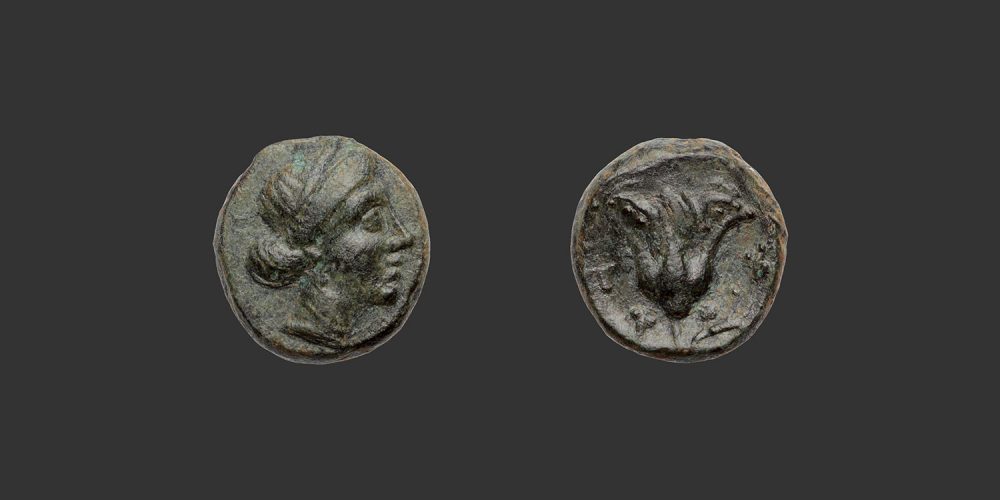 Odysseus Numismatique Monnaies Grecques ÎLES DE CARIE - RHODES • Bronze