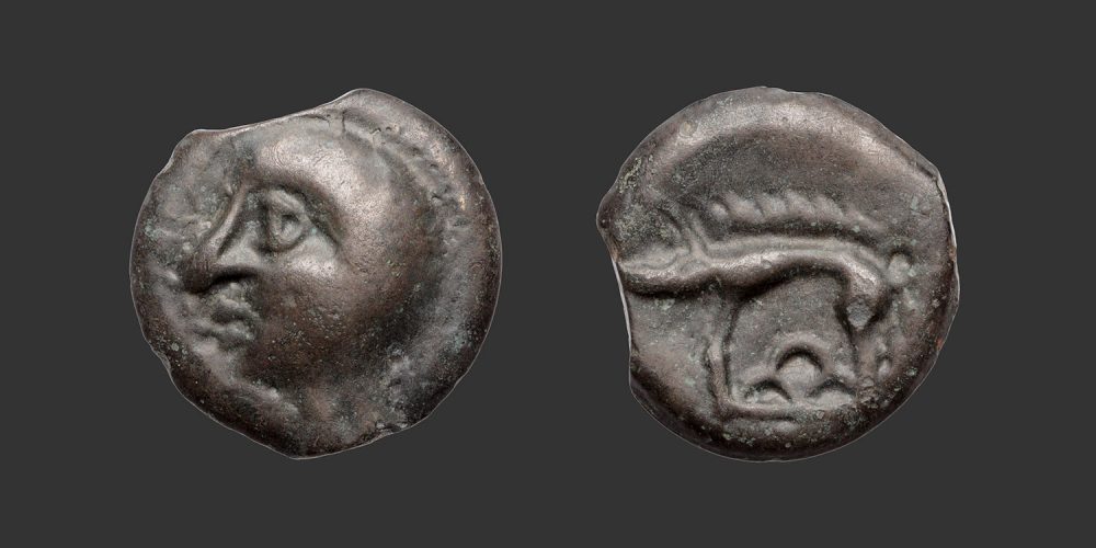 Odysseus Numismatique Monnaies Celtiques Gauloises LEUQUES • Potin