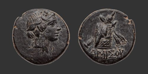 Odysseus Numismatique Monnaies Grecques PONT - AMISOS • Bronze