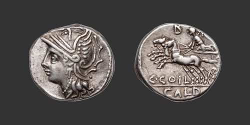 Odysseus Numismatique Monnaies Romaines République COELIA - C. COELIUS CALDUS • Denier