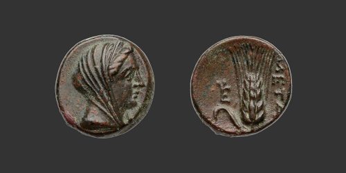 Odysseus Numismatique Monnaies Grecques LUCANIE - MÉTAPONTE • Bronze
