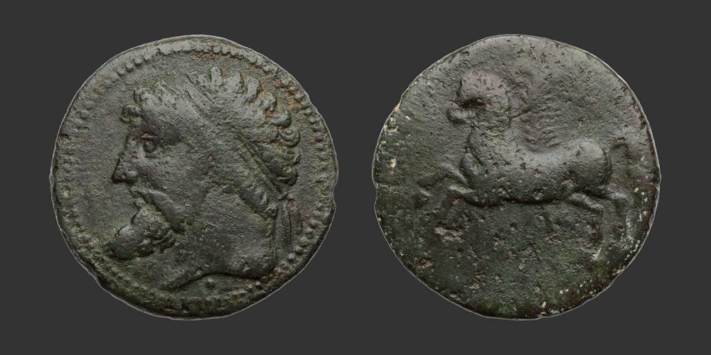 Odysseus Numismatique Monnaies Grecques Afrique ROYAUME DE NUMIDIE - MASSINISSA / MICIPSA • Bronze