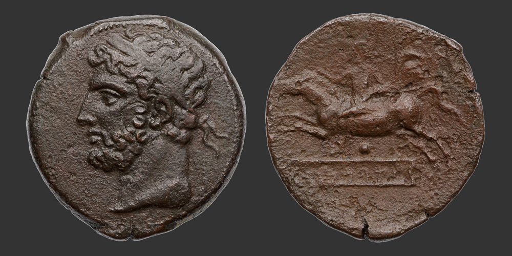 Odysseus Numismatique Monnaies Grecques Afrique ROYAUME DE NUMIDIE - SYPHAX • Bronze