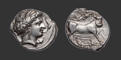 Odysseus Numismatique Monnaies Grecques CAMPANIE - NÉAPOLIS • Nomos