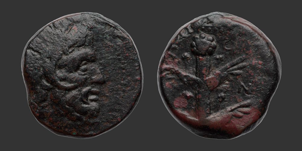 Odysseus Numismatique Monnaies Grecques CYRÉNAÏQUE - KOINON • Bronze