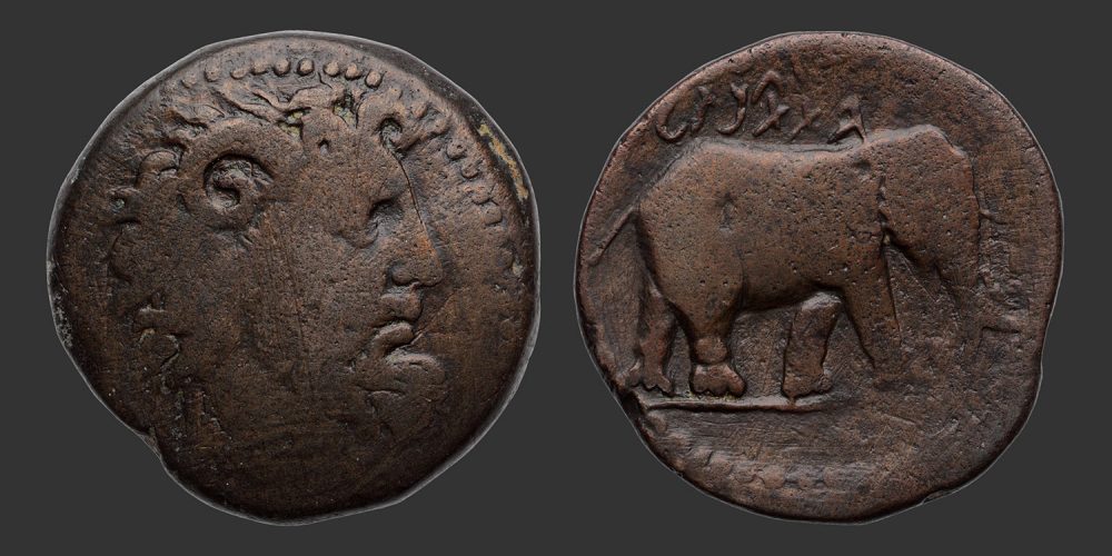 Odysseus Numismatique Monnaies Grecques ROYAUME DE NUMIDIE - JUBA Ier • Bronze