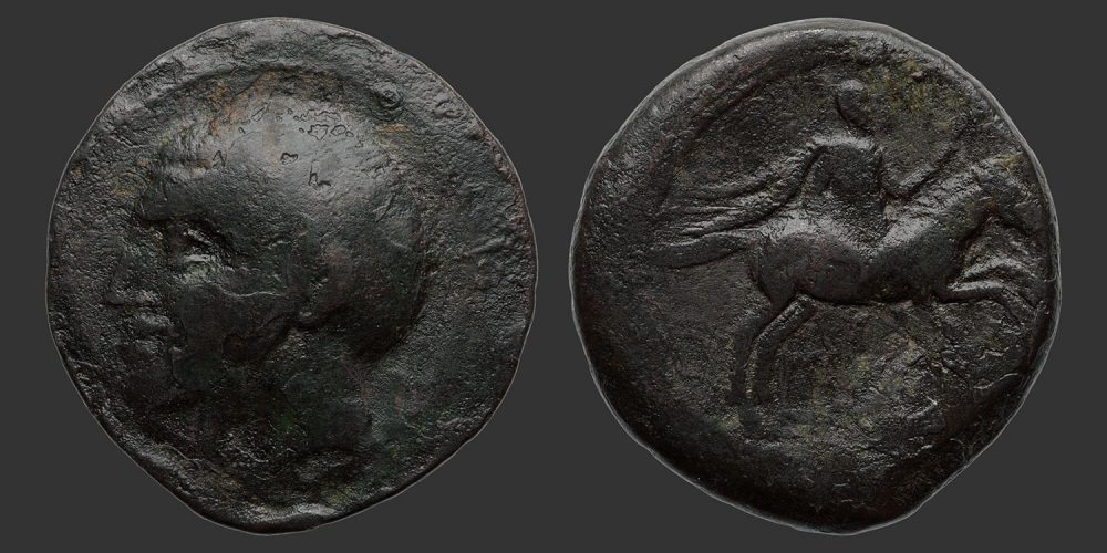 Odysseus Numismatique Monnaies Grecques ROYAUME DE NUMIDIE - SYPHAX • Bronze