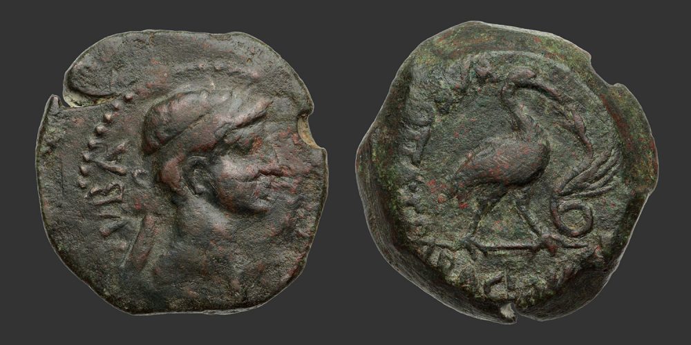 Odysseus Numismatique Monnaies Grecques ROYAUME DE MAURÉTANIE - JUBA II & CLÉOPÂTRE • Bronze