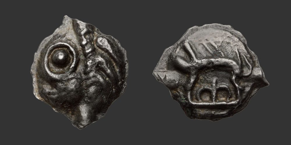 Odysseus Numismatique Monnaies Celtiques Gauloises LEUQUES • Potin