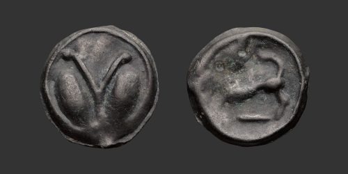 Odysseus Numismatique Monnaies Celtiques Gauloises SÉNONS • Potin