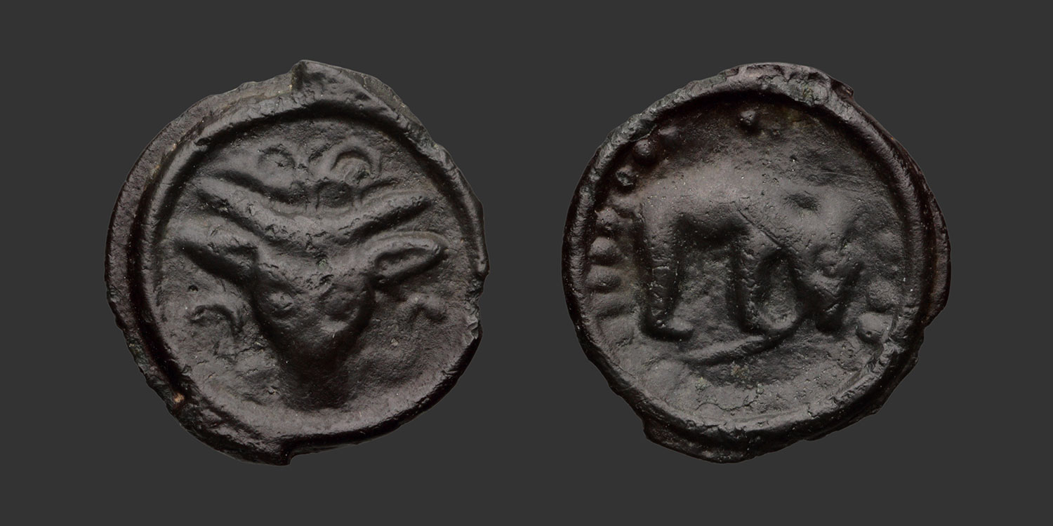 Odysseus Numismatique Monnaies Celtiques Gauloises RÈMES • Potin