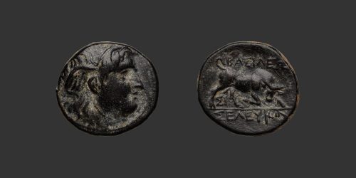 Odysseus Numismatique Monnaies Grecques ROYAUME SÉLEUCIDE - SÉLEUKOS Ier • Bronze